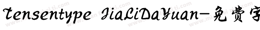 Tensentype JiaLiDaYuan字体转换